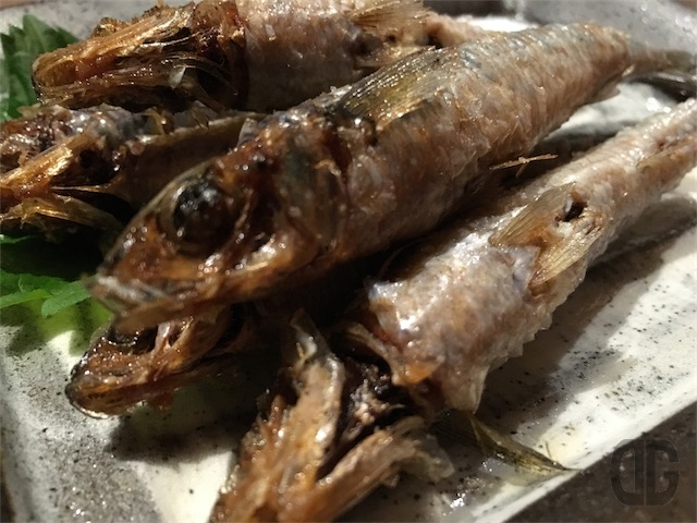 IMG 6386 640