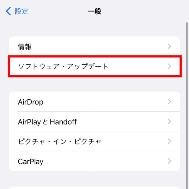 【ソフトウェア・アップデート】をタップ