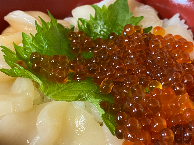 帆立といくらがたっぷり。特にいくらは広告以上の盛り